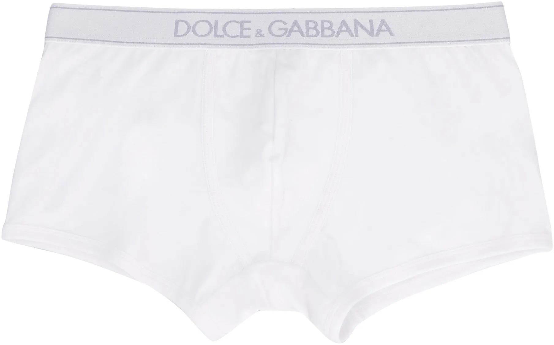 Dolce & Gabbana Logo Waistband Briefs