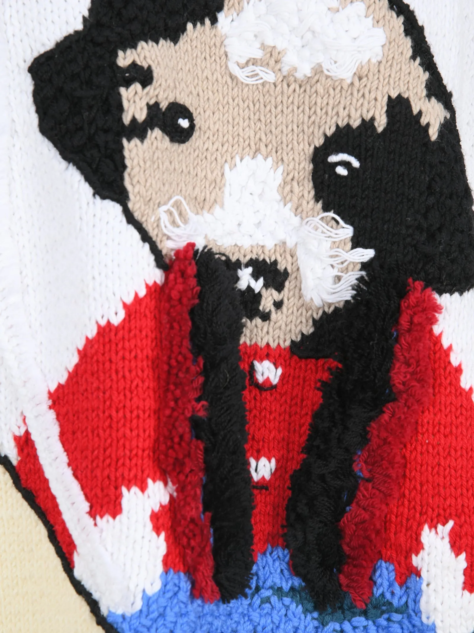 Loewe Puppy Intarsia Crewneck Sweater