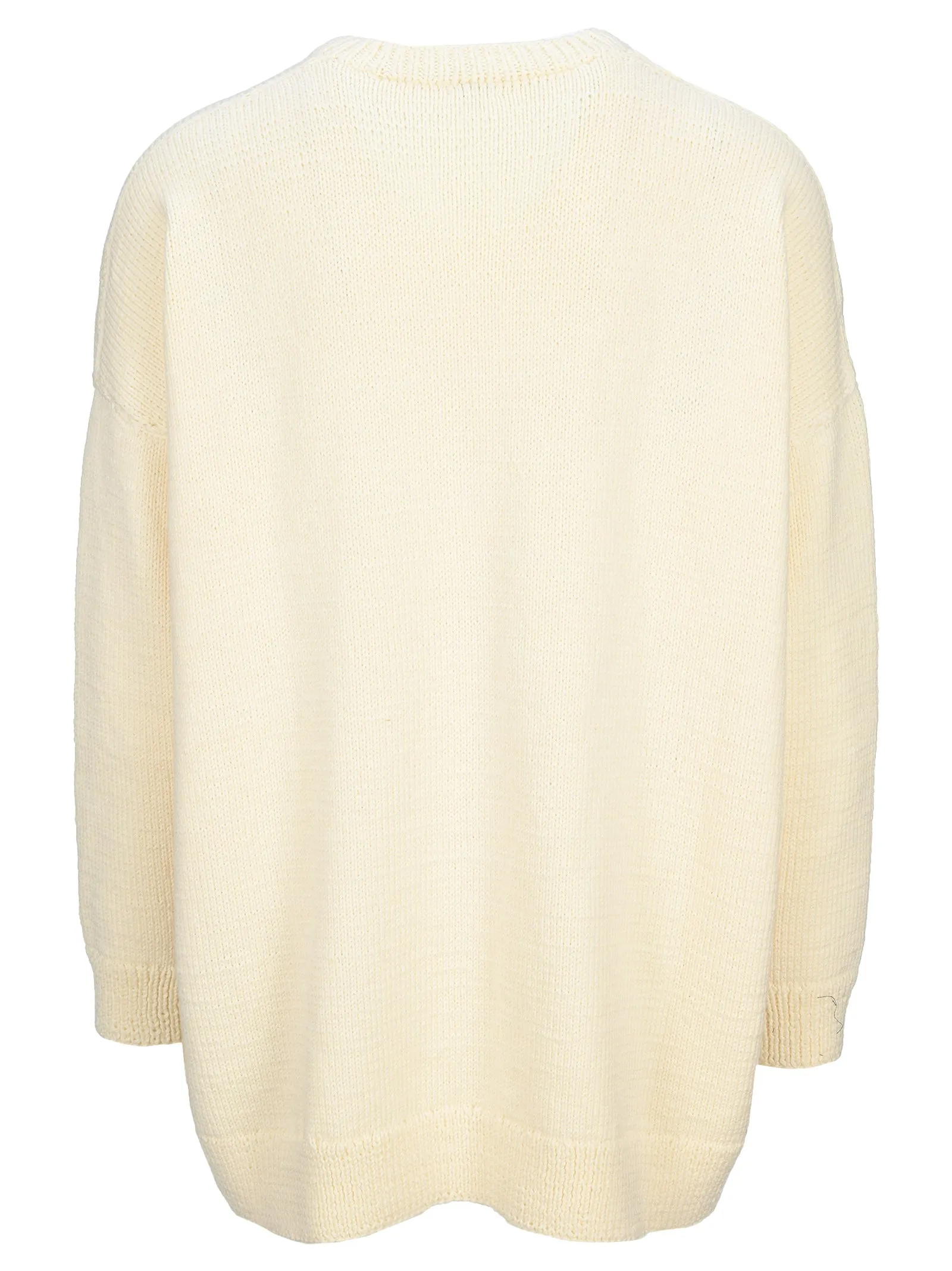 Loewe Puppy Intarsia Crewneck Sweater